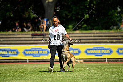 Stylish Motion`s Apple